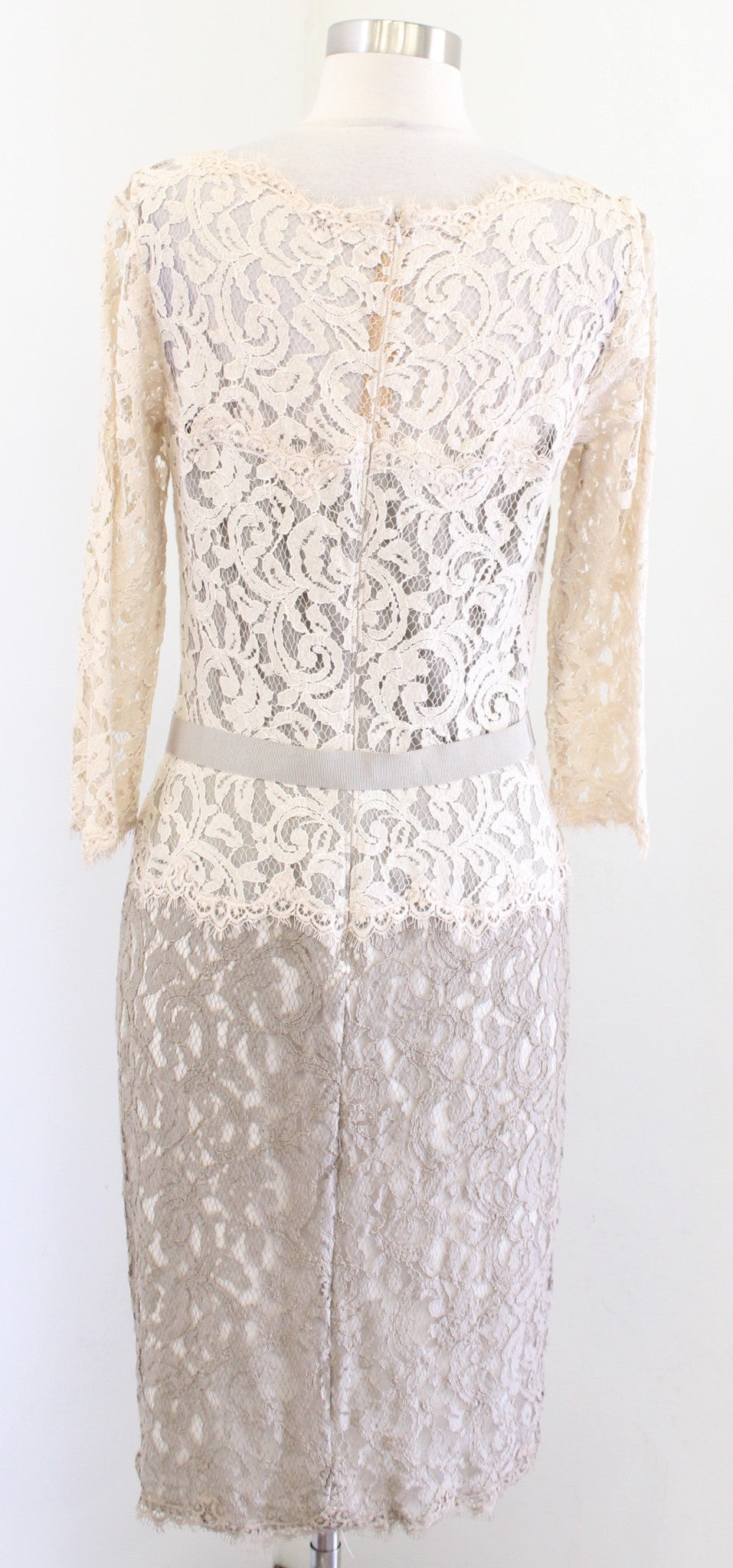 Tadashi Shoji Cream Taupe Tan Color Block Lace Dress Cocktail Party Size 10