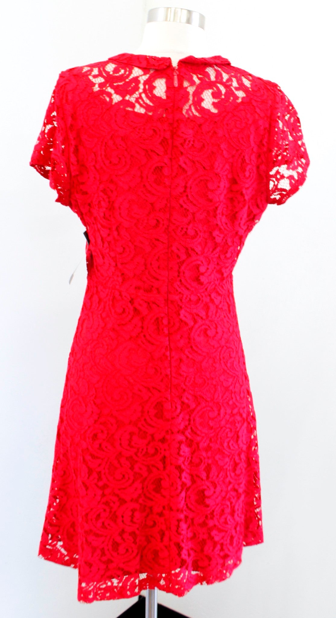 NWT Eva Mendes NY & Co Red Collared Lace A Line Dress Size 8 Holiday Cocktail