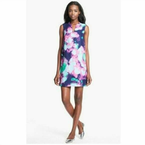 Kate Spade Keri Simply Cinema Watercolor Abstract Shift Dress Size 0 Blue Pink