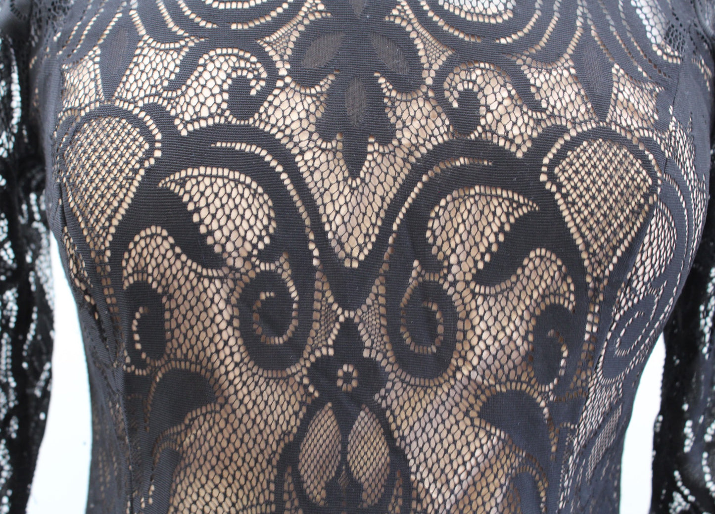 Adrianna Papell Black Nude Lace Illusion Sheath Dress Size 4P Cocktail Party