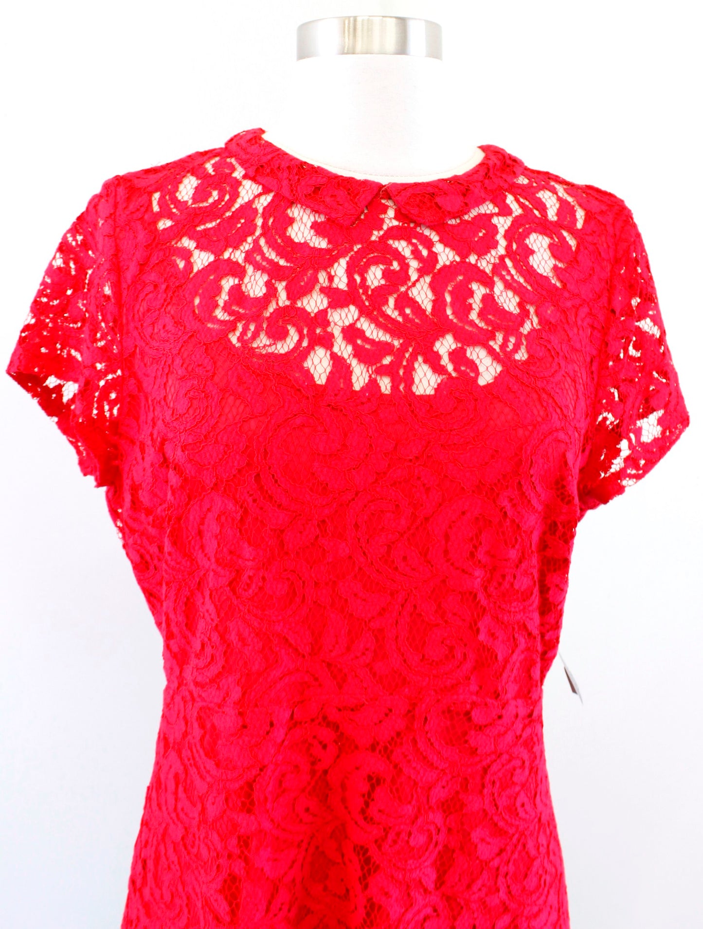 NWT Eva Mendes NY & Co Red Collared Lace A Line Dress Size 8 Holiday Cocktail