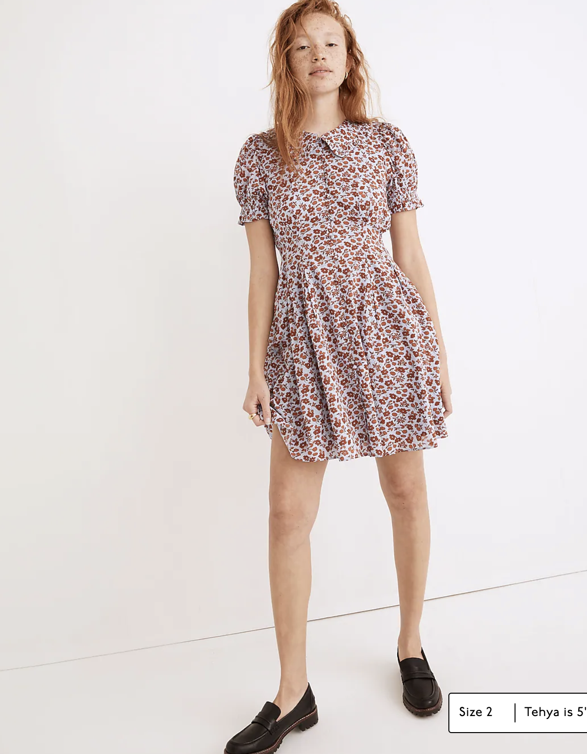 NWT Madewell Blue Floral Print Peter Pan Collar Puff Sleeve Mini Dress Size 10