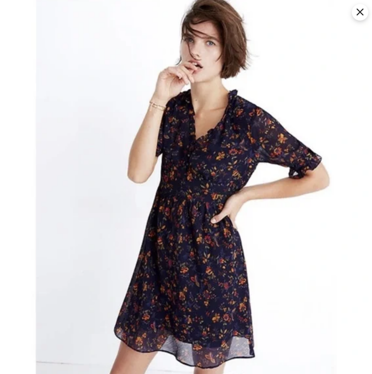 Madewell Navy Blue Freesia Climbing Vine Floral Print Dress Size 2 Ruffle V Neck