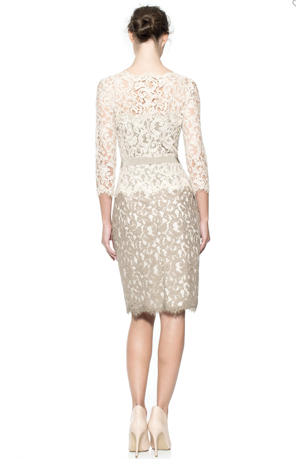 Tadashi Shoji Cream Taupe Tan Color Block Lace Dress Cocktail Party Size 10